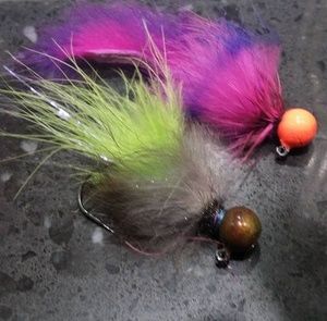 Meet your Posher, Allen